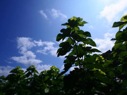 P1010347.JPG