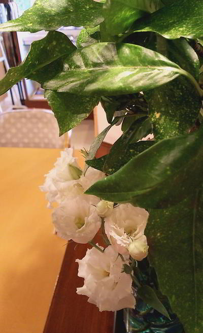 IMG_20190823_110736391.jpg