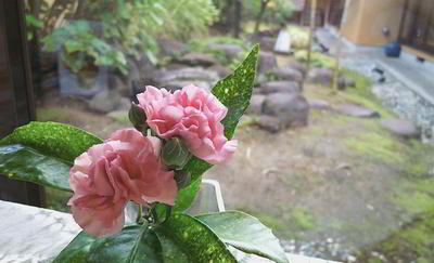 IMG_20190912_103230283.jpg