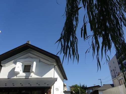 DSC06276.JPG