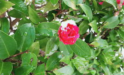 IMG_20200121_102205516.jpg