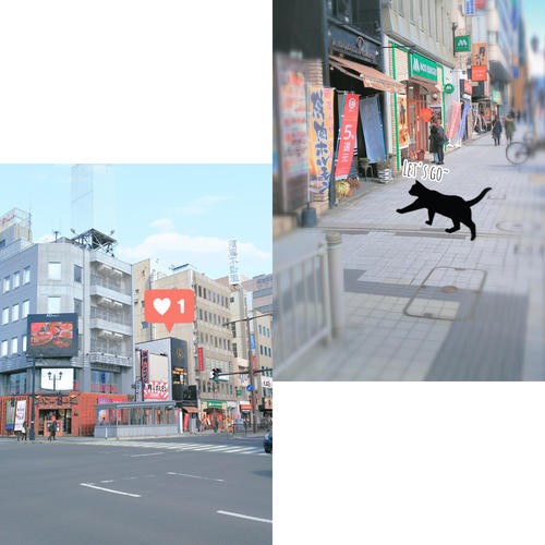 CollageMaker_20200225_134244685.jpg