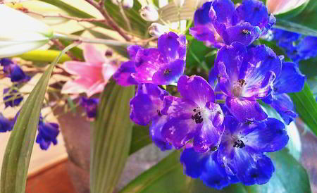 IMG_20200206_113605909.jpg