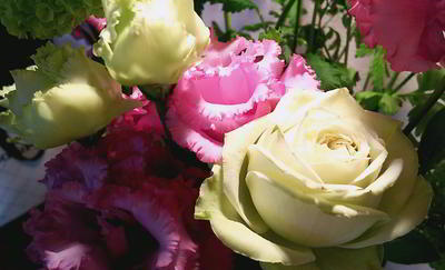 IMG_20200327_151733510.jpg