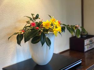 IMG_8220.jpg
